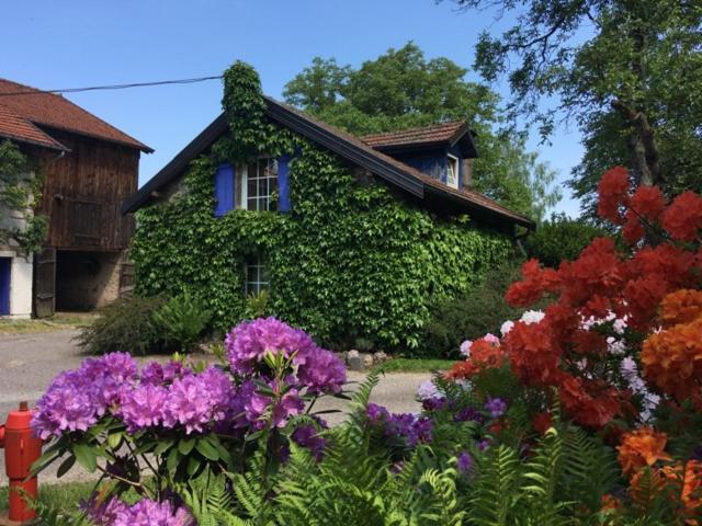 Gite Et Roulotte Dans Les Vosges Remiremont Buitenkant foto